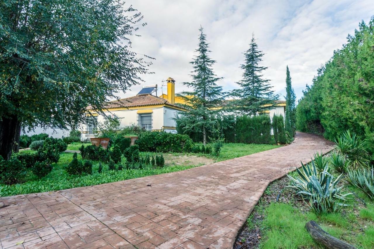 Casa Elizabeth Lägenhet Palomares del Río Exteriör bild